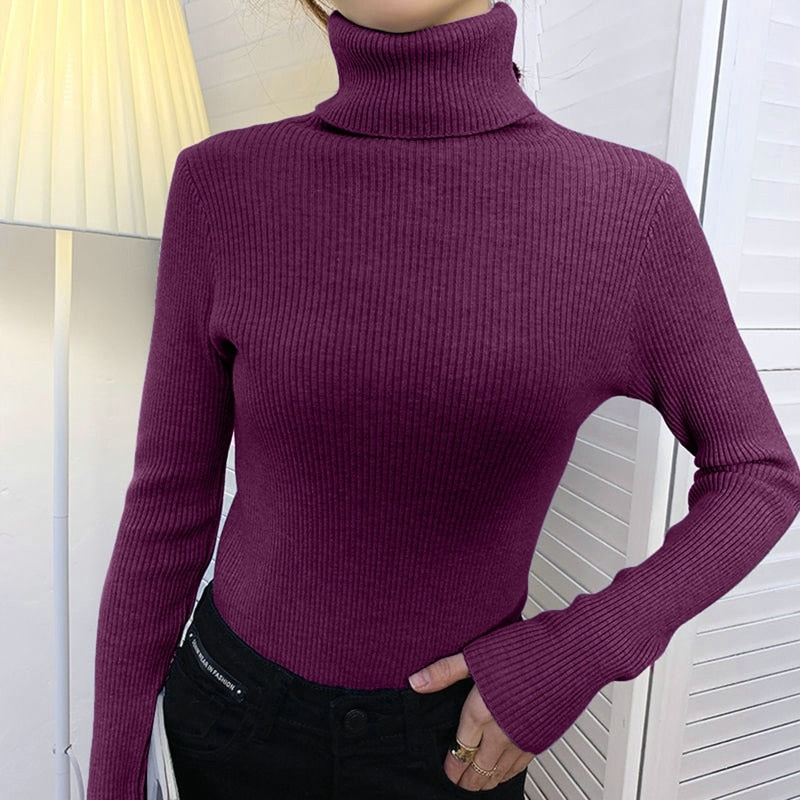 Soft Cashmere Turtleneck Sweater