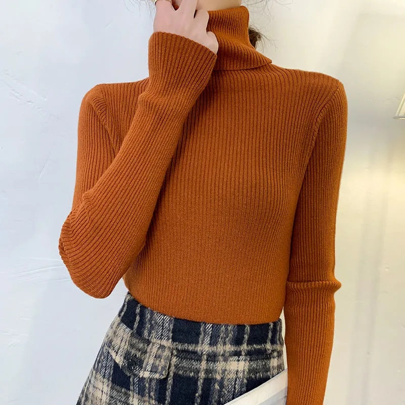 Soft Cashmere Turtleneck Sweater